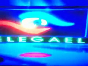 Taffy Entertainment/Mike Young Productions(2004)/Qubo(2009)