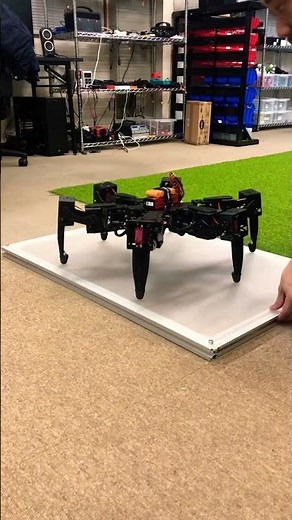 Body self-leveling hexapod #hexapod #robot #programming #diy #3dprinting #arduino