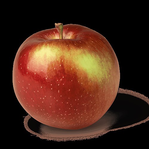 Empire Apple Review - Apple Rankings by The Appleist Brian Frange