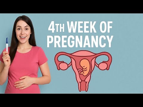 4 Weeks Pregnant: The FIRST Real Signs You’re Actually Expecting (What you don't know!)-week by week
