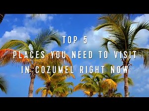 Royal Caribbean Top 5: Places You Need to Visit in Cozumel Right Now