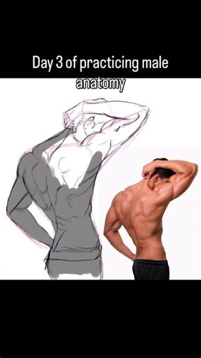 Day 3 of practicing male anatomy #drawing #maleanatomy #art #muscles #practice #digitalart