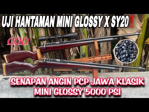 MINI GLOSSY X SY20 IMPACT TEST‼️CLASSIC MINI GLOSSY 5000 PSI JAVA PCP AIR RIFLE