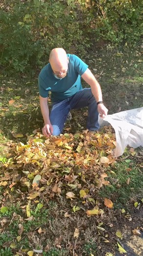 What is Producer John up to today? 🍁🍃🍂 | Your Story Hour