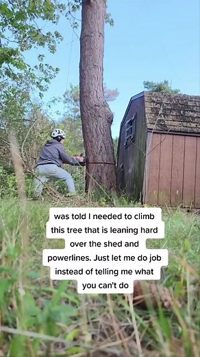 #treework #weaverstreeservice #chainsaw #husquvarna #psu #trump2024 #fjb