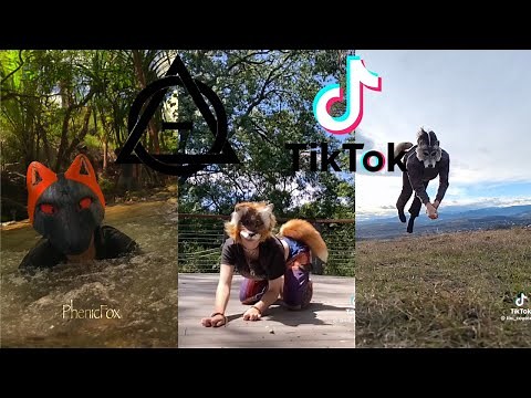 Therian and Quadrobics TikToks || Compilation 🐾🪱🪲|| Alterhumans of TikTok #70