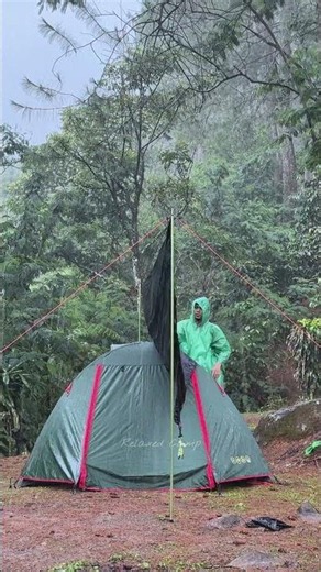 AMAZING HEAVY RAIN‼️ Relaxing camping in rain sounds (ASMR) #campingintherain #shorts