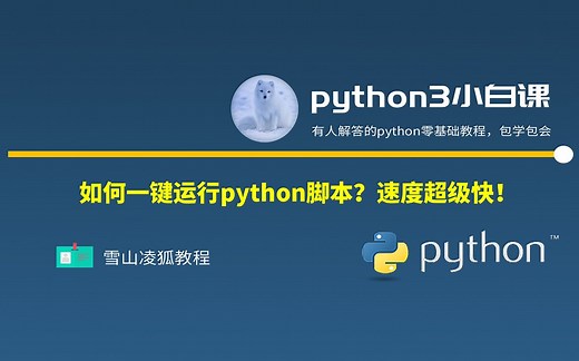 1-5 用cmd和vscode来演示，运行python脚本【雪山凌狐教程】【python基础】python教程