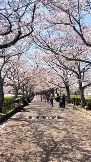 when_are_you_traveling_🙂_@japan_@japantravel_@japantips_@traveltips | Things About Japan