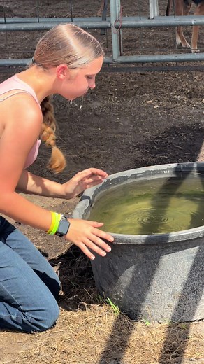 Creative Solutions for Thirsty Riders on the Farm