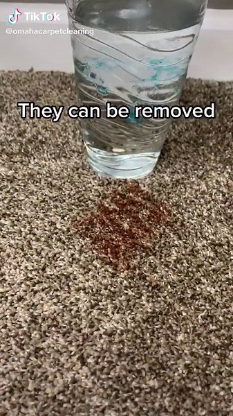 Say Goodbye to Hidden Stains with Omaha Carpet Cleaning