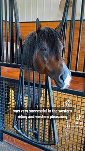 I got to meet VS Flatline too!🐴❤️ | Katie Van Slyke