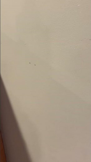 Gocrv Com reviews: Ended paying the rates that I would have if I booked myself | PissedConsumer.com