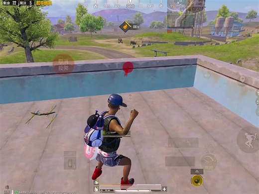 Winning Peace Elite with Grenades Only Challenge