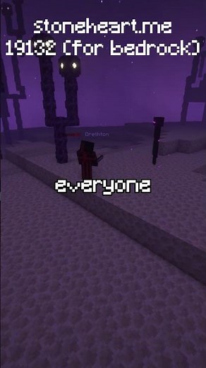 THIS IS THE BEST LIFESTEAL SMP (Java + Bedrock)