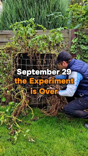 18M views · 454K reactions | The experiment is over. So my experiment...