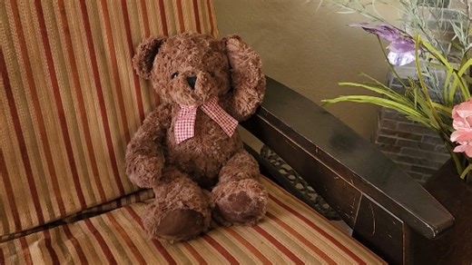 Watch Adorable 20 inch Teddy Bear ~ Plush Toy ~ Check it Out! on Amazon Live