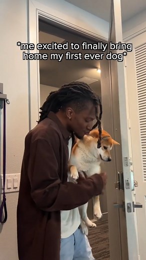 1.9M views · 10K reactions | It's all worth it tho  IB @balaclint #dogmemes #funnydogs #relatabledog #memes #shibainu | Cody Taurus | Facebook