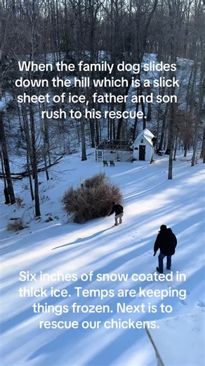 Rescuing Our Dog from Thick Ice After Winter Storm