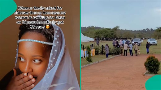 Groom presents 35 cows to bride's family instead of 20 they asked for