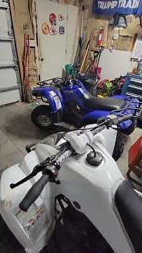 06 yamaha raptor 350 is getting some work soon.