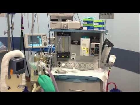 Penlon Prima SP3 Anesthesia Ventilator Machine