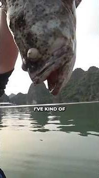 Dead fish nearly took him out 🇻🇳