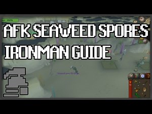 AFK Seaweed Spores [Ironman Guide] [Updated 2020]