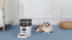 Watch automatic cat feeder on Amazon Live