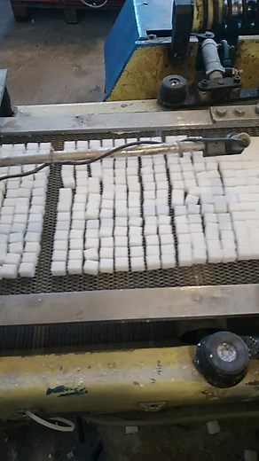 Industrial Sugar Cube Processing Machine in Action