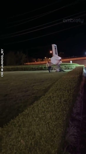 Just a quick race before the wedding ends 🥴