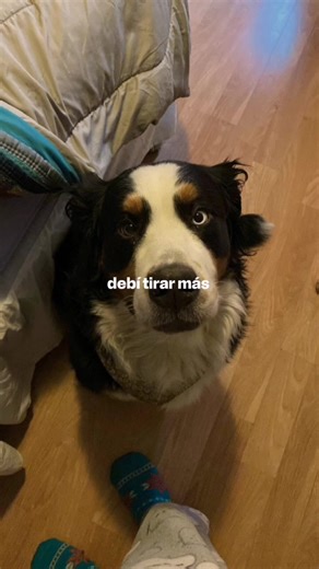 la extraño ##fyp #perrita #noflop