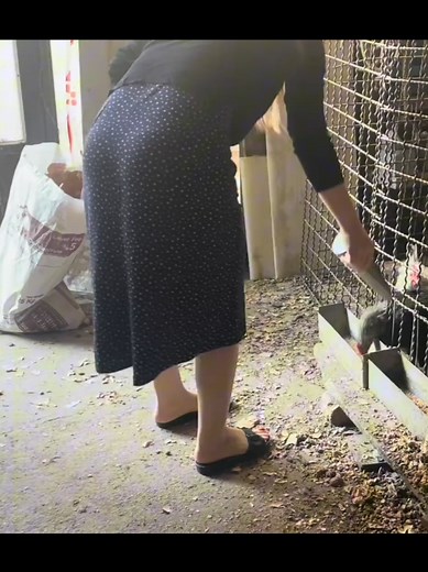 Quick and Easy Cooking Recipes for Home Cooks