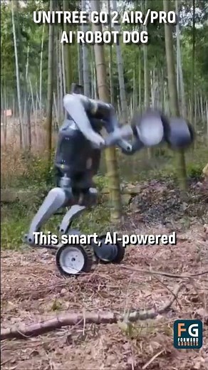 Unitree Go2 Robot Dog | Best Quadruped Robot Dog for AI & Entertainment #unitree #robotdog #Go2