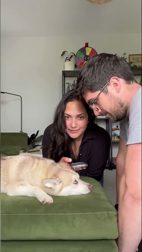 Using A Dog Translator To See Who My Dog Prefers