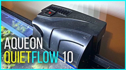 Watch Aqueon QuietFlow 10 Filter Setup with Versa Top! on Amazon Live