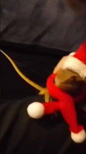 santas little helper pt2