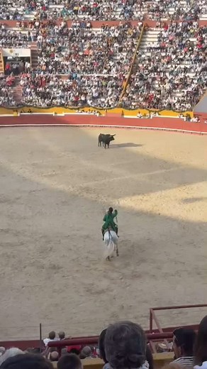 Ainda em Santarém! - #franciscopalha #cavaleiro #rejoneo #rejones #caballosderejoneo #toirosecavalos #cavalos #touros #tauromaquia #touradas #equitacao #aficion #aficionados #espanha #franca #california #portugal #temporada25 | Francisco Palha . Cavaleiro