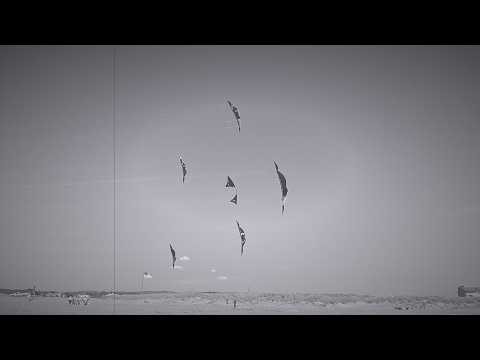 Team KiteLife — Dual & Quad Line Kite Team Flying in Long Beach WA