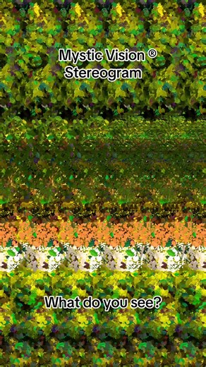 Home Decor #stereogram #opticalillusion #magiceffect #eyetrick #funchallenge