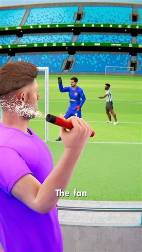 Fan Throws Flare At Goalie 😳