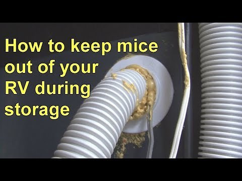 How To Keep Mice Out Of Your RV During Storage