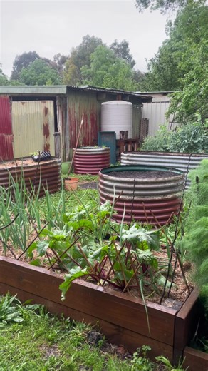 I love a wet spring day!