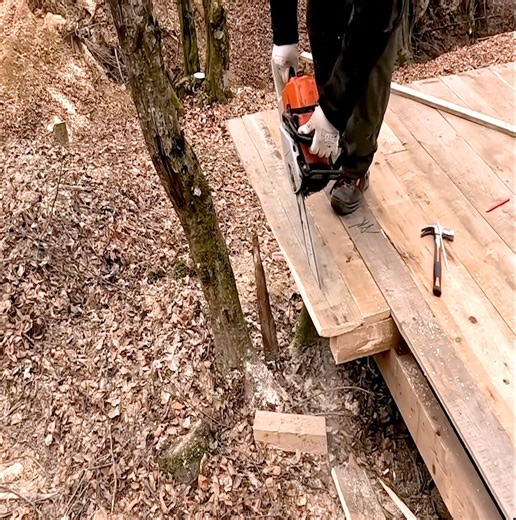 1.5K views · 20 reactions | My dream is to build a wooden cabin and live peacefully in the wilderness, starting in 2025 and finishing in 60 days. My love for cats and dogs is unwavering. | Building Skills | Facebook