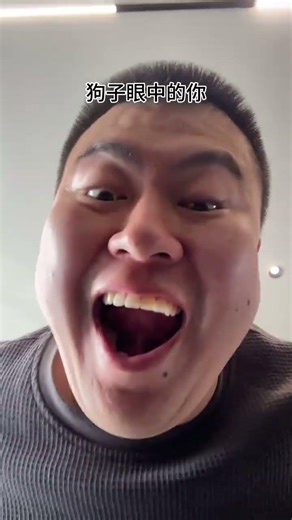 My Dog's First-Person Adventure: A Day in His Life