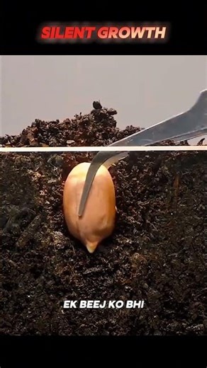 Day 40: This Pain Is Not the End 🔥