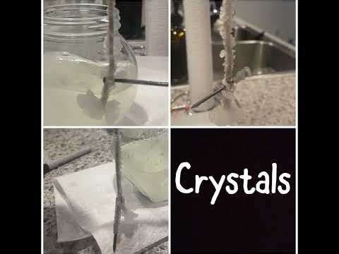 Science Fair Project 5th Grade