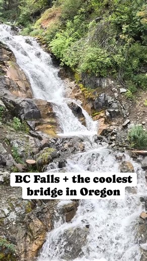 9.2K views · 303 reactions | BC Falls is more than just a hidden waterfall in the Wallowa Mountains. The trail takes you across one of the coolest log bridges we’ve ever seen. Would you cross it? | Cody & Kellie | Facebook