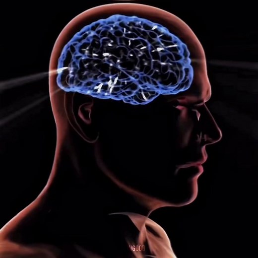 Exploring Quantum Immortality through Shifting Realities and Multiverse Theory