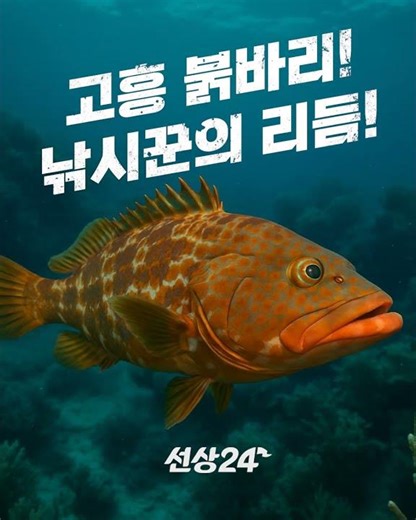 지금 전남 고흥 앞바다, 붉바리 호조황! #선상낚시